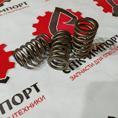 Пружина клапана внешняя для двигателя SC5D125G2B1
