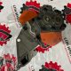 612600070033 Масляный насос для двигателя WEICHAI WD10G178E25