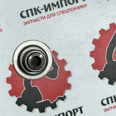 Колпачок маслосъемный 1000549569/61000113