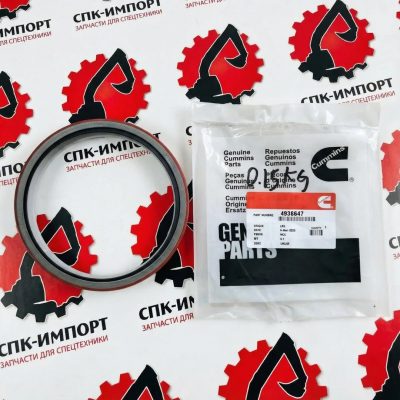 Сальник ДВС 4936647