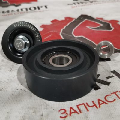 Ролик обводной 61260061100