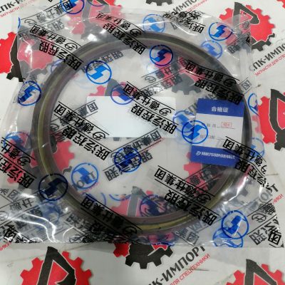 Сальник балансира DZ91259520506