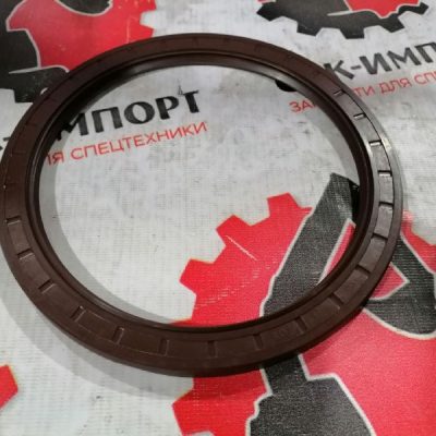 Сальник балансира 160х194х10.5 AZ99255220223